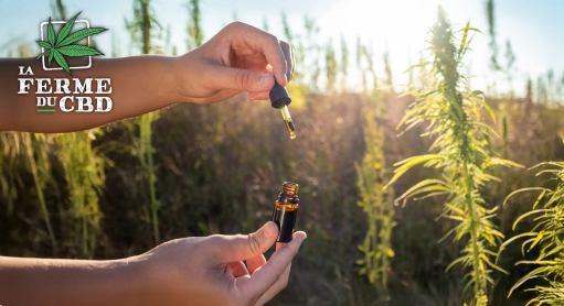 Les dangers de l'huile de CBD : effets secondaires et précautions
