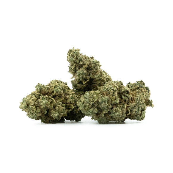 Pistachio CBD Indoor 17% - CBD flowers - The CBD Farm