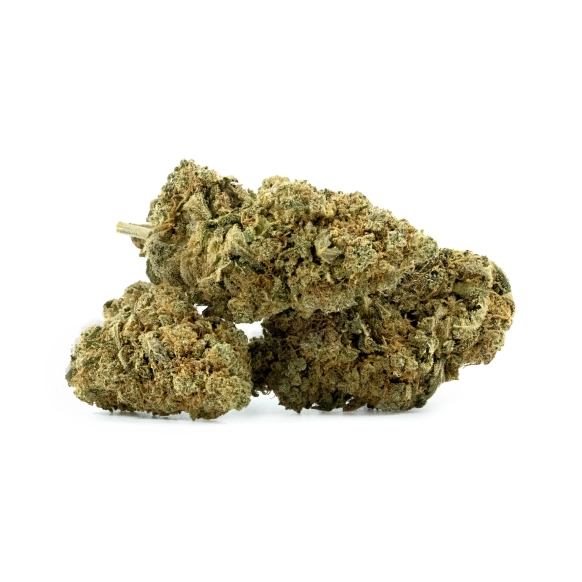 Chocolate Chip Cookie CBD Indoor 16% - CBD Flowers - The CBD Farm