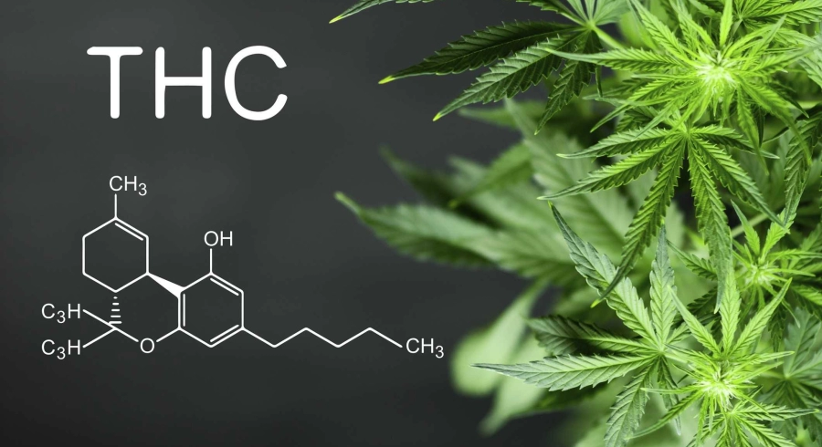 UE: augmentation du taux légal de THC