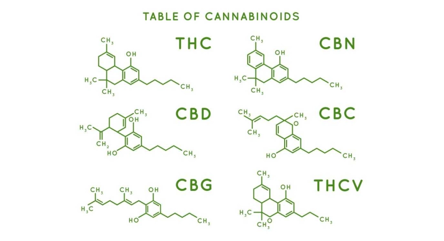 Cannabinoids, understanding the entourage effect