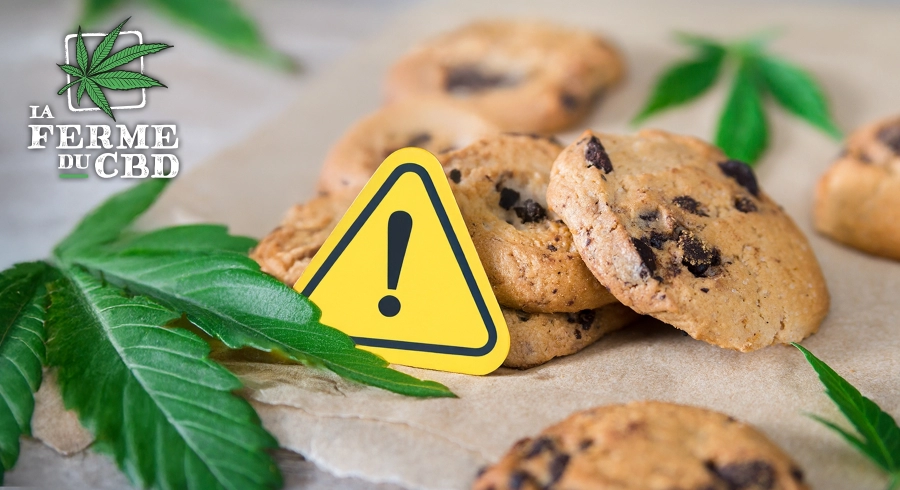 Cookies et gâteaux au THC : effets, risques et précautions