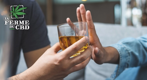 CBD et alcoolisme : peut-il aider au sevrage ?