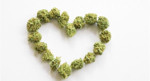 Cannabinoids have no severe cardiovascular effects