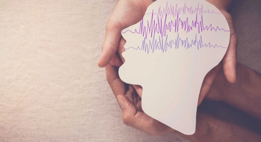 CBGA is believed to be an effective anticonvulsant for epileptic seizures