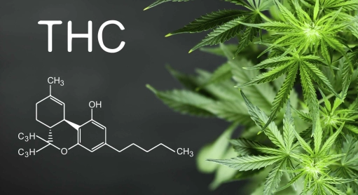 UE: augmentation du taux légal de THC