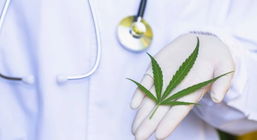 CBD and cancer: can cancer be treated with cannabidiol?