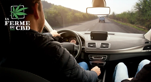 CBD et conduite: peut-on être sanctionné pour usage de stupéfiants ?