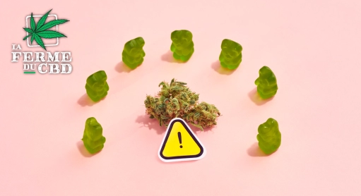 Bonbons THC : effets et dangers à connaître