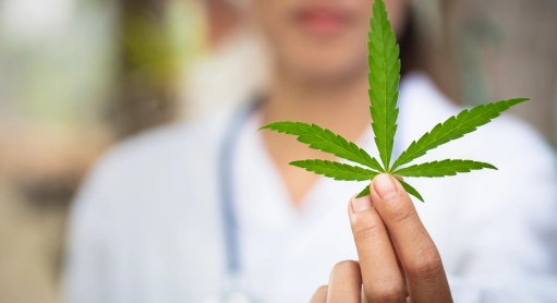 Le CBD peut-il aider à soigner les addictions ?