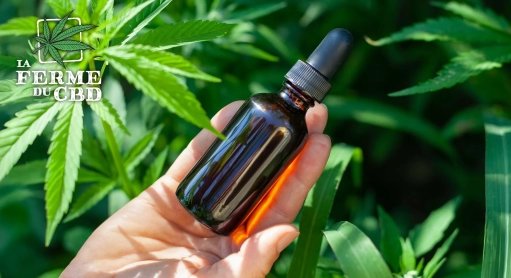 Bienfait de l’huile de CBD : 11 bénéfices du cannabidiol