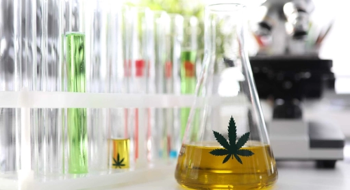 CBD und Drogenschnelltest: Was riskieren Sie wirklich?