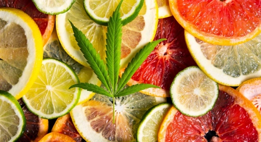 Kennen Sie die Terpene im CBD?