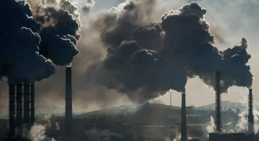 Hanf: doppelt so effektiv wie Bäume bei der Kohlenstoffbindung!