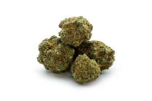 Blueberry Muffin Indoor 14%